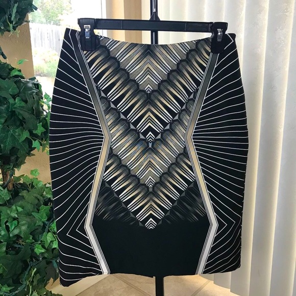 Worthington Dresses & Skirts - Worthington Skirt | Size 6P